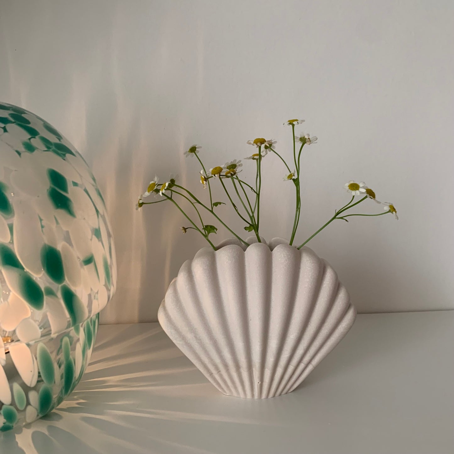 Shell Vase