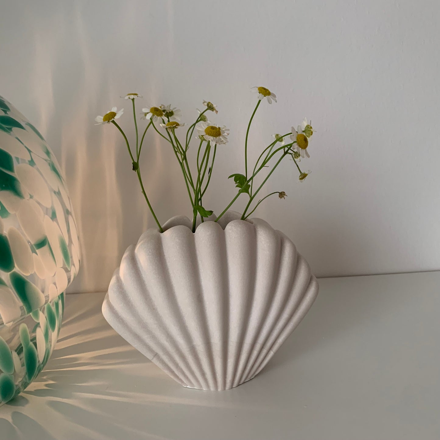Shell Vase