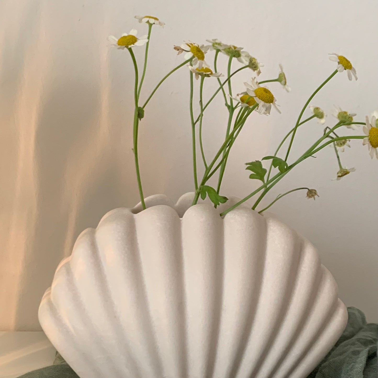Shell Vase